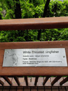 Malabar Hill Nature Trail birds information