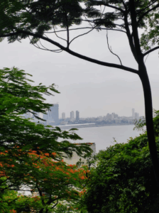 Arabian Sea in the Background -An sight to behold captured from the Malabar Hill Walkway